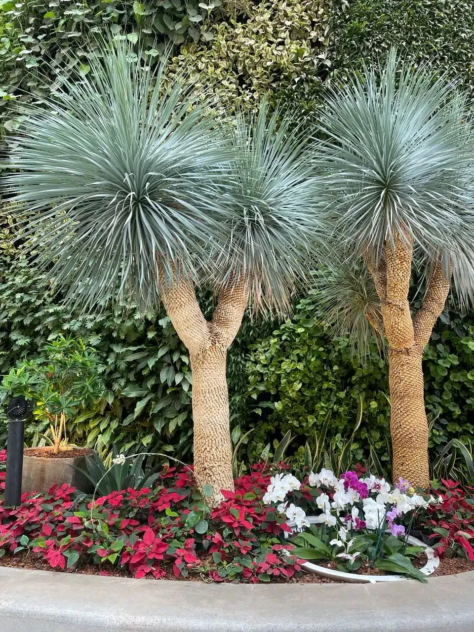 Kashi Ayodhya Yathra