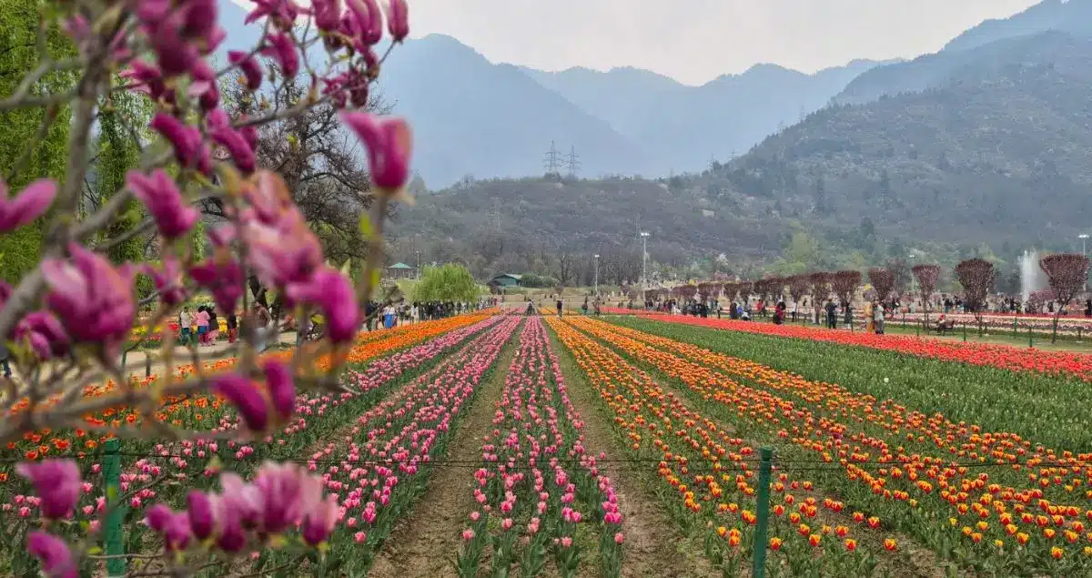 Sarada Yathra Kashmir