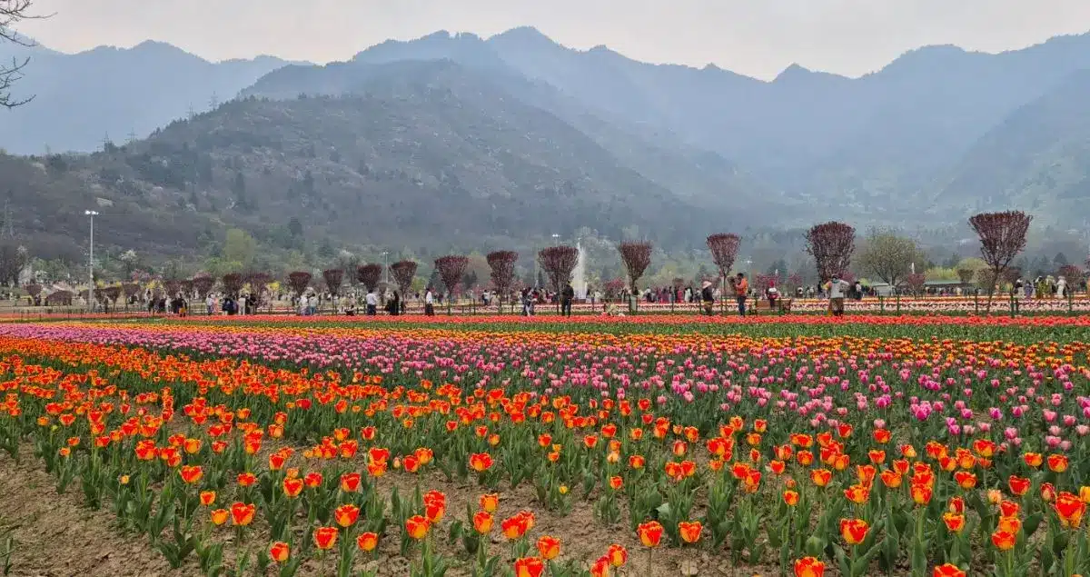 Sarada Yathra Kashmir