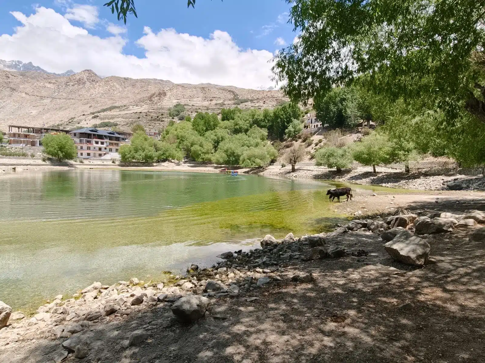Spiti Valley