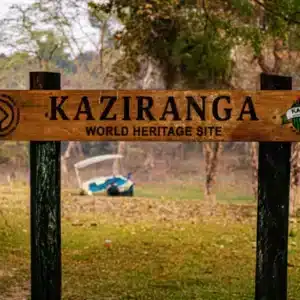 Kamakhya-Kaziranga Yathra